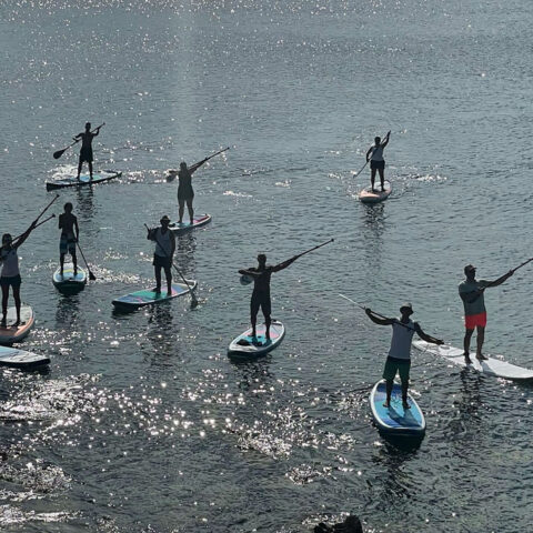 CORSO PROFESSIONALE SUP