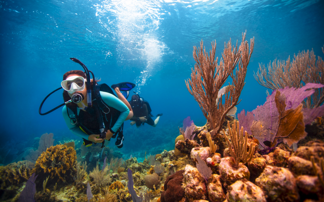 CORSO SUB PADI